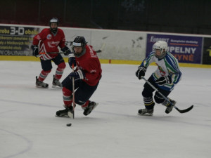 Hokejisté ve vítězném zápase s Plzní