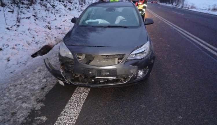 Následky srážky s divočáky. Foto: HZS LK