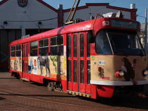 Liberecké ulice brázdí od pondělí nová zvířecí tramvaj