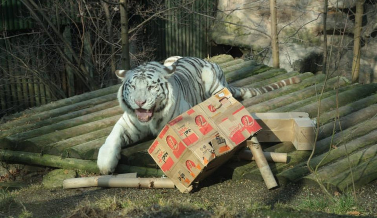Paris se svým dílem. Foto: Jan Kubánek