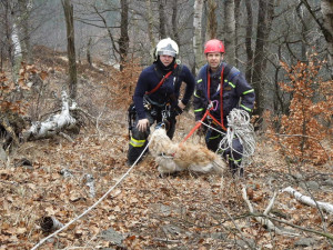 Záchrana psa byla fyzicky náročná. Foto: HZSLK