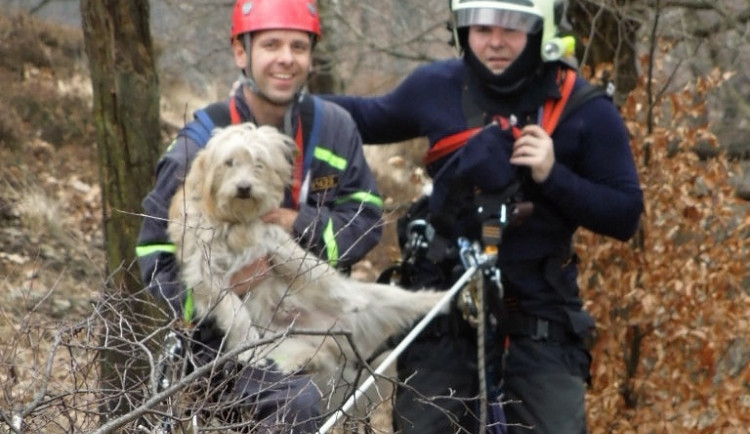 Záchrana psa byla fyzicky náročná. Foto: HZSLK