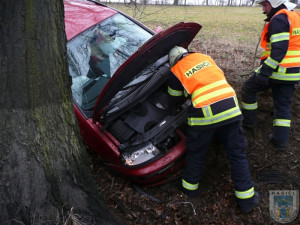 Řidič zastavil svůj Seat o strom. Vyvázl bez zranění