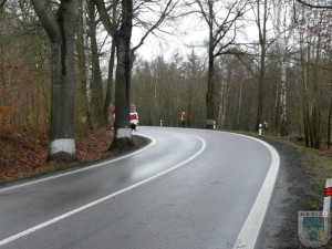 Řidič vyvázl ze Seatu bez zranění. Foto: Hasiči Hrádek nad Nisou