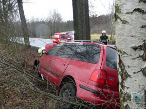 Řidič vyvázl ze Seatu bez zranění. Foto: Hasiči Hrádek nad Nisou