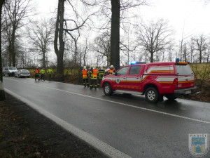 Řidič vyvázl ze Seatu bez zranění. Foto: Hasiči Hrádek nad Nisou
