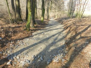 Aktuální stav lesoparku Střelnice. Foto: Město Frýdlant