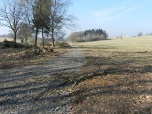 Aktuální stav lesoparku Střelnice. Foto: Město Frýdlant