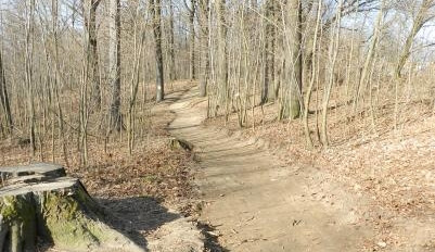 Aktuální stav lesoparku Střelnice. Foto: Město Frýdlant