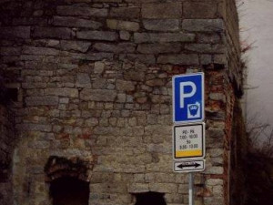 Kočka na zdi pod sociálkou