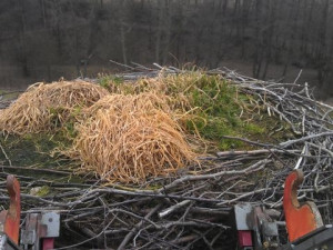 Čapí rodinka je zpět na komíně u rybníka v Osečné. Foto: Město Osečná