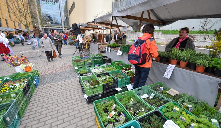 Farmářské trhy u Fora jsou opět v plném proudu