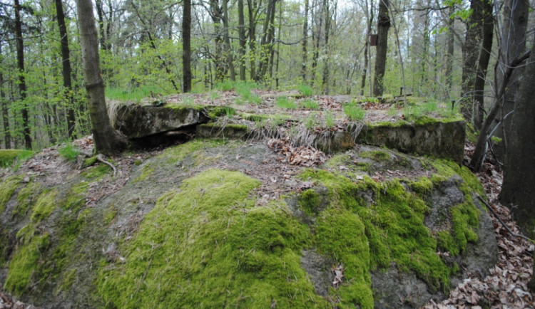Tip na výletík: Siegmundova výšina mívala i rozhlednu