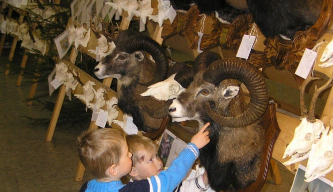 Kulturní akce vystřídá v Lidových Sadech výstava loveckých trofejí