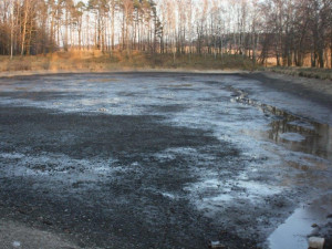 Rybník byl po letech zanešen vrstvou bahna
