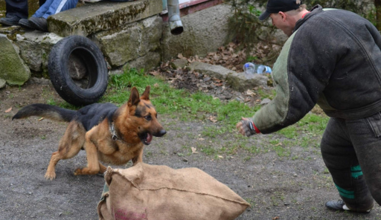 V Liberci budou opět štěkat služební psi