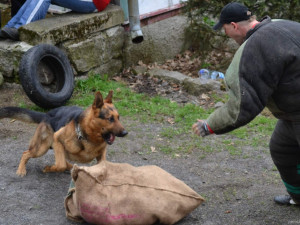 V Liberci budou opět štěkat služební psi