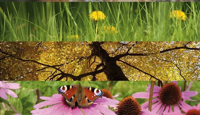 969986_655591487828612_8738230947990333070_n