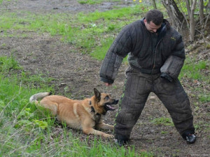 Do Pavlovic se sjeli psovodi z celé republiky. Foto: MP Liberec