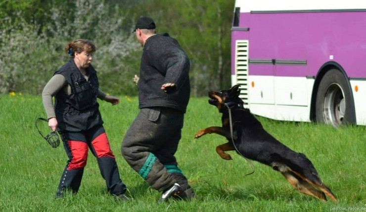 Do Pavlovic se sjeli psovodi z celé republiky. Foto: MP Liberec