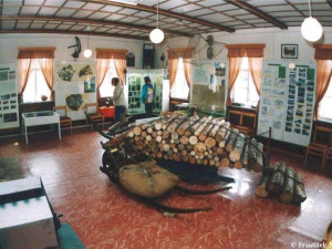 Muzeum Jizerských hor si 20 let od založení připomíná výstavou