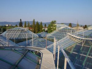 Nový pavilon botanické zahrady začíná nabírat na obrysech. Foto: Botanická zahrada Liberec