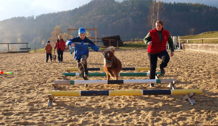 Tip: Prožijte den s koňskými terapeuty