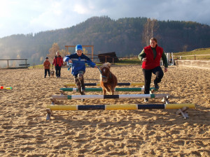 Tip: Prožijte den s koňskými terapeuty