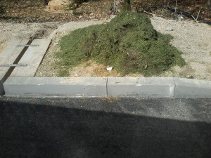 Takhle to vypadalo 22.dubna. Foto: Městské lesy