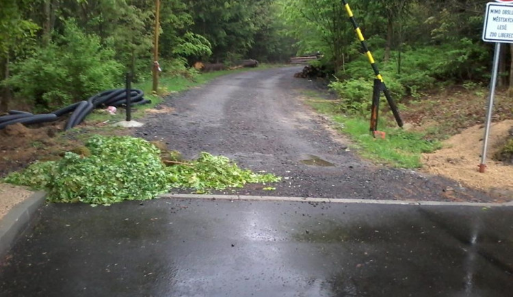 Odpad někdo pravidelně hází na stejné místo. Foto: Městské lesy