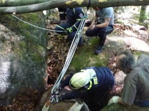 Hasiči se zapotili, tři hodiny tahali kobylu ze sevření balvanů. Foto: HZSLK