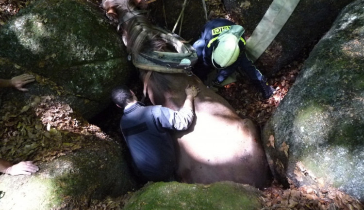 Hasiči se zapotili, tři hodiny tahali kobylu ze sevření balvanů. Foto: HZSLK