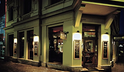 Ilustrační foto: Potrefená husa