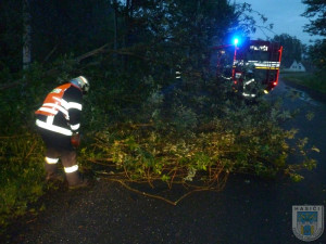 Silnici na Dolní Suchou blokoval zlomený strom. Foto: Hasiči Hrádek nad Nisou