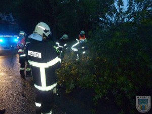 Silnici na Dolní Suchou blokoval zlomený strom. Foto: Hasiči Hrádek nad Nisou