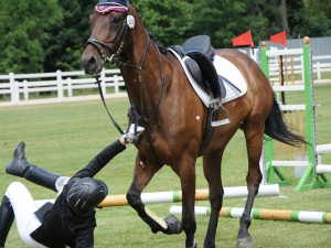 Liberecký jezdecký klub oslavil skokovým závodem padesátiny. Foto:Zuzana Minstrová