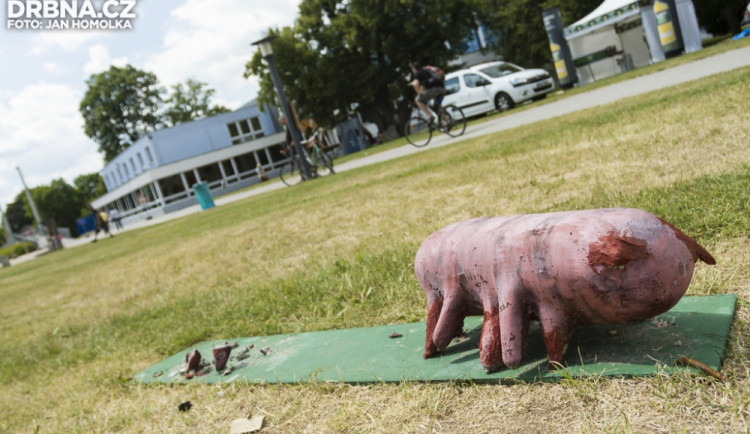 Budějčtí vandalové opět na scéně