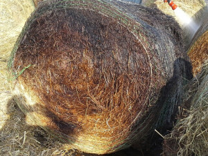 Požár hasiči likvidovali čtyřiadvacet hodin. Foto: HZSLK