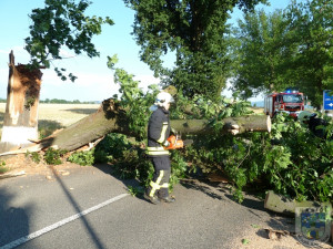 Hasiči strom odklidili během půl hodiny. Foto: Hasiči Hrádek nad Nisou