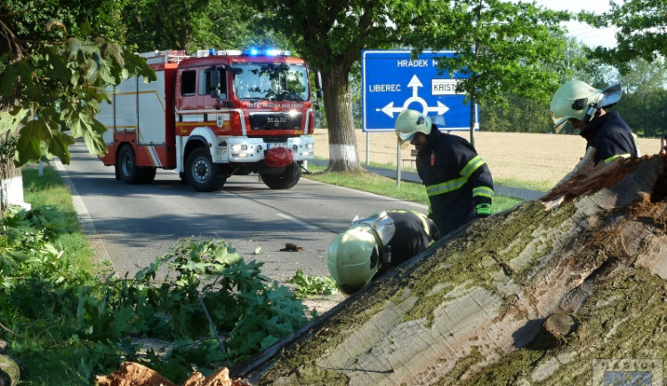 Hasiči strom odklidili během půl hodiny. Foto: Hasiči Hrádek nad Nisou