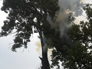 Bouřky od neděle trápí hasiče napříč celým krajem. Foto: HZSLK