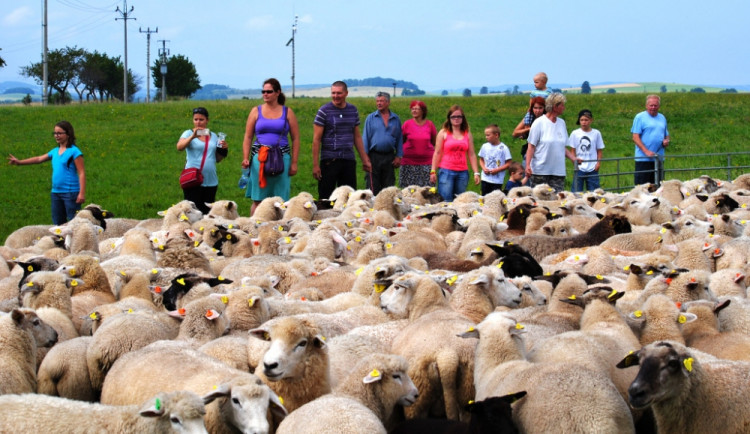 Šestý ročník Bačování opět proběhl na louce u Řasnice