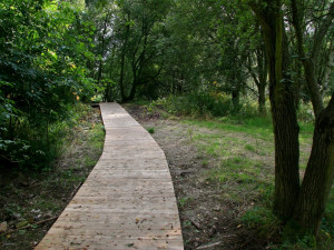 Hrádecký mokřad propojí stovky metrů stezek. Foto: Hrádek nad Nisou