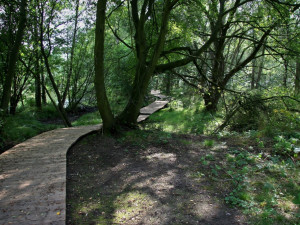 Hrádecký mokřad propojí stovky metrů stezek. Foto: Hrádek nad Nisou