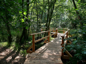 Hrádecký mokřad propojí stovky metrů stezek. Foto: Hrádek nad Nisou