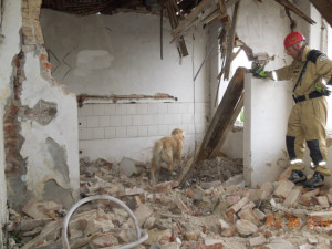 V Zákupech se propadla střecha bývalé mlékárny. Foto: HZSLK