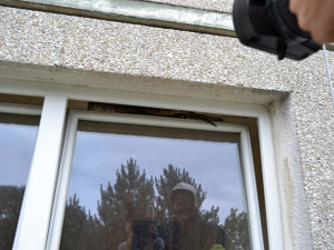 Dvoumetrový had ležel na otevřeném okně. Foto: HZS LK