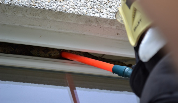 Dvoumetrový had ležel na otevřeném okně. Foto: HZS LK