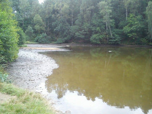 Hasiči dnes ráno ukončili čerpání vody z rybníka ve Vesci. Foto: Jana Hrdá