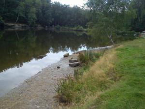 Hasiči dnes ráno ukončili čerpání vody z rybníka ve Vesci. Foto: Jana Hrdá